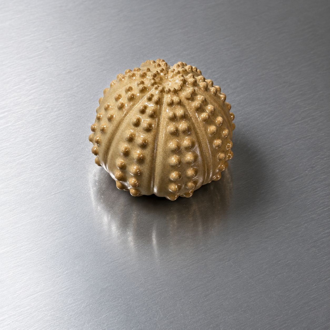 Moule silicone Oursin