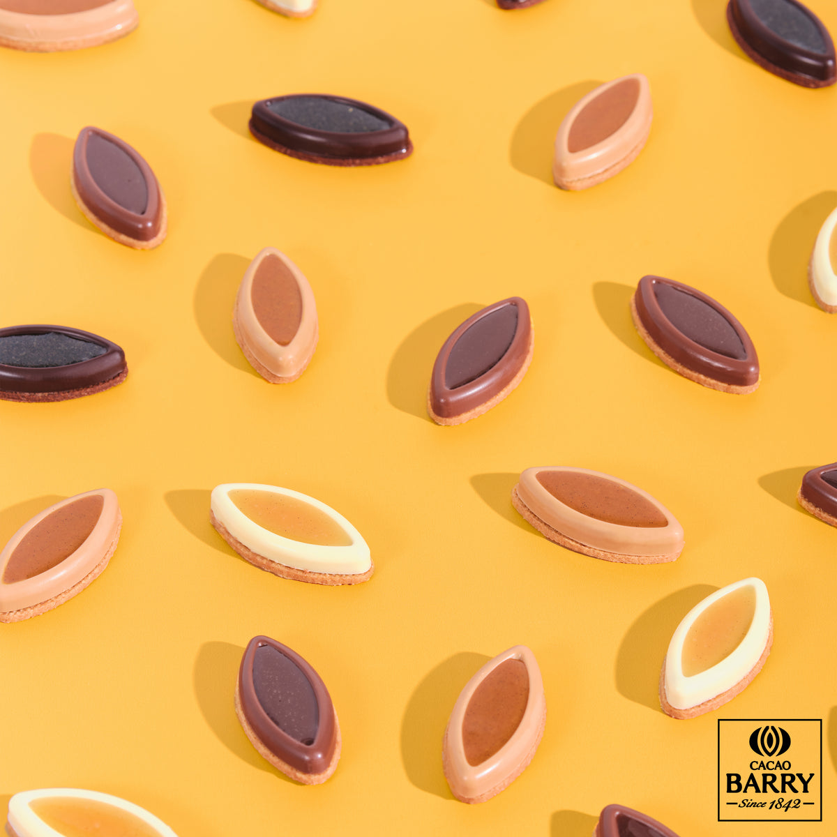 Barquette Cacao Barry