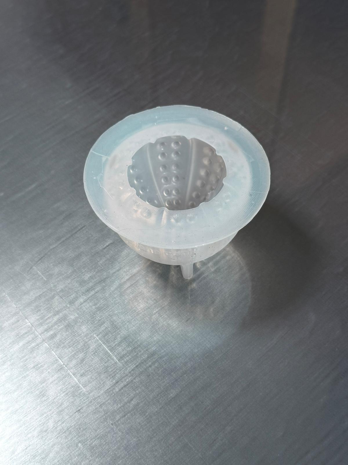 Moule silicone Oursin